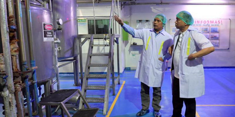 Program Makan Bergizi Gratis Momentum Kebangkitan Koperasi Susu